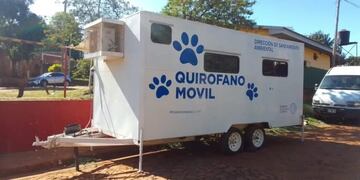 Oberá: ocho animales fueron encontrados muertos e intoxicados.