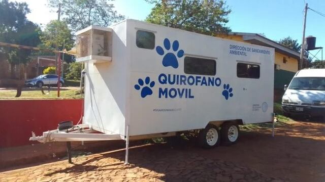 Oberá: ocho animales fueron encontrados muertos e intoxicados.