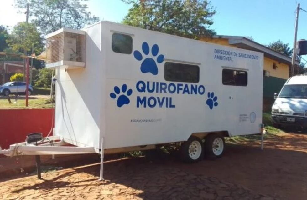 Oberá: ocho animales fueron encontrados muertos e intoxicados