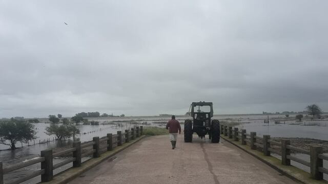 Campos inundados en Parish