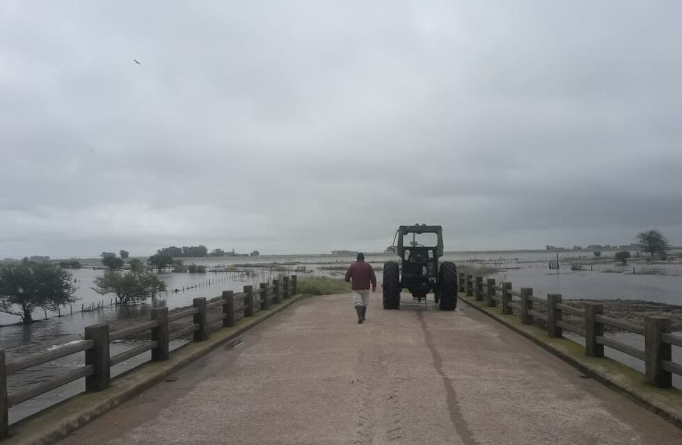 Temporal: en la zona rural de Parish llovieron hasta 260 mm