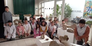 Visita a la muestra de megamamíferos en el Museo Mulazzi de Tres Arroyos
