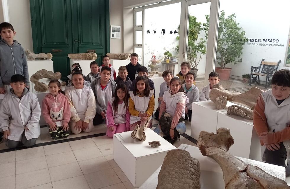 Visita a la muestra de megamamíferos en el Museo Mulazzi de Tres Arroyos