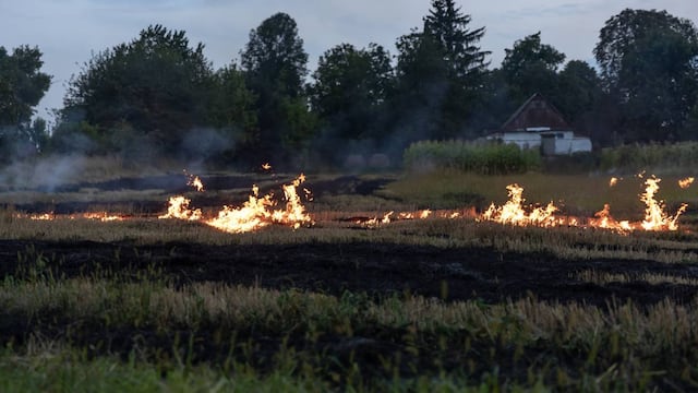 Aumenta 40% la exposición humana a incendios forestales. (Freepik)