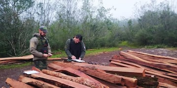 Incautan madera nativa en Cerro Corá.
