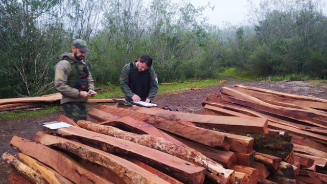 Incautan madera nativa en Cerro Corá.