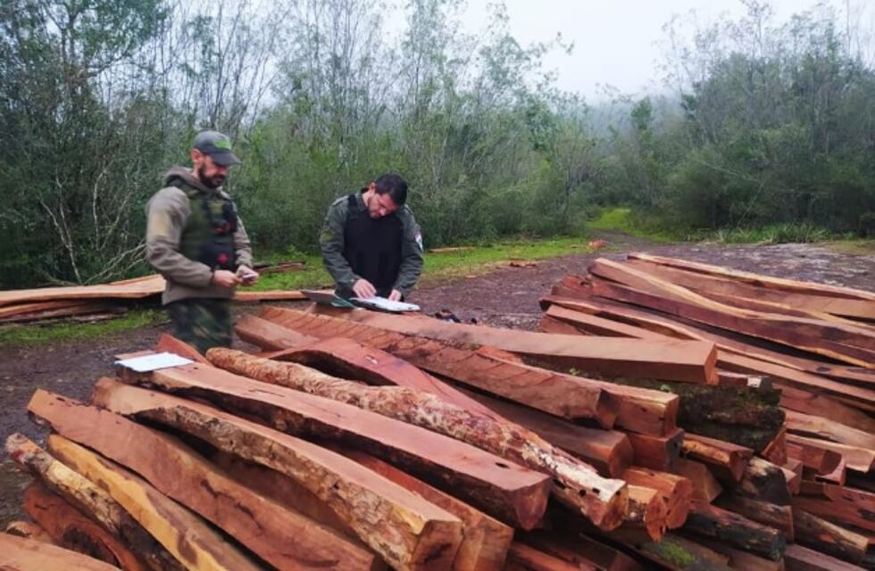 Incautan madera nativa en Cerro Corá
