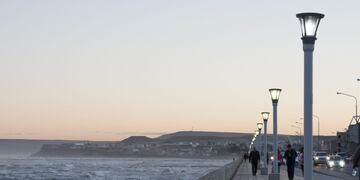 Rescataron a un perro que se ahogaba en la cosatnera de Comodoro Rivadavia (Imagen ilustrativa).