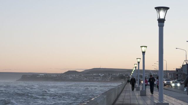 Rescataron a un perro que se ahogaba en la cosatnera de Comodoro Rivadavia (Imagen ilustrativa).