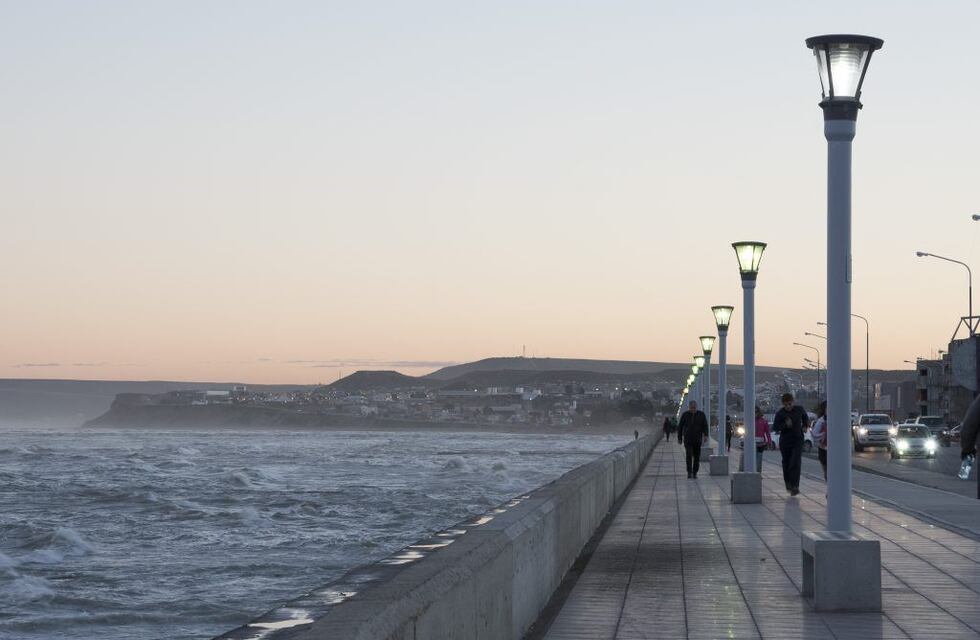 Un perro se estaba ahogando y agentes de Prefectura saltaron al agua a rescatarlo