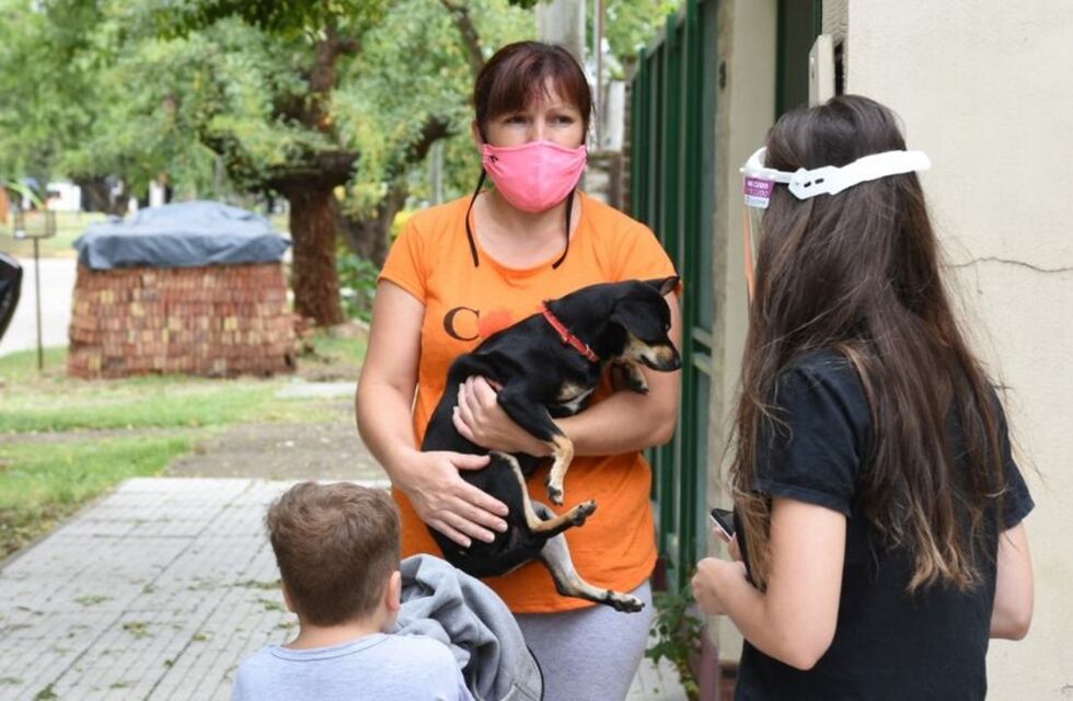 Nueva jornada especial de castraciones