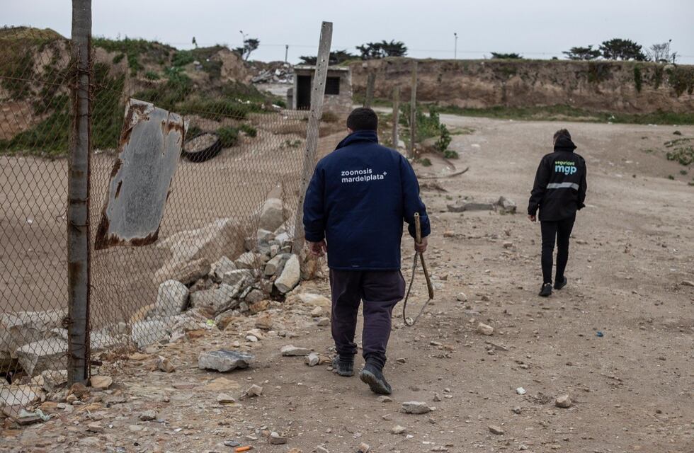 Realizaron un rastrillaje en la zona donde la jauría de perros atacó a una vecina