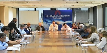 proyecto aprobado en la Comisión de Seguridad y Justicia de la Legislatura de Tucumán, presidida por el legislador Carlos Najar