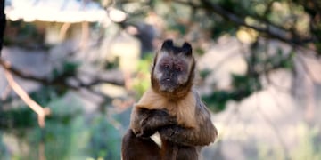 Proyecto Caraya en La Cumbre