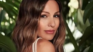 Así fue el robo planificado a la casa de Pampita en Barrio Parque: cómo entraron y salieron sin que nadie los vea.