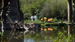 El cuerpo apareció este miércoles por la mañana.