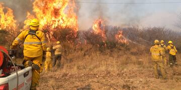 16 mil hectáreas afectadas en el quinto día activo.