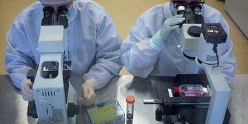 En Rafaela se investigan las mutaciones.