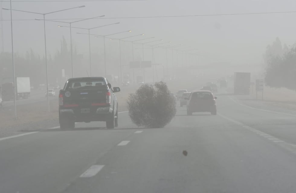 Terror dentro de un auto por el viento Zonda: “Nos van a chocar, es un huracán”, grita la conductora
