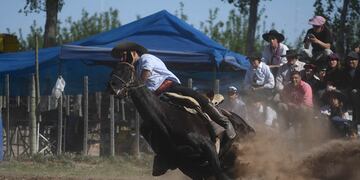 Habrá un festival de Destrezas Criollas en la Ex Fisna.