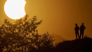 Eclipse parcial de sol
ID:7504265 Pigeons are silhouetted as the sun forms a crescent during a partial solar eclipse in New Delhi, India, Tuesday, Oct. 25, 2022. (AP Photo/Altaf Qadri)