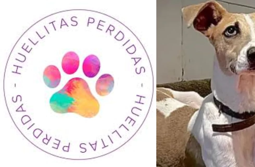 Huellitas Perdidas y su batalla por sacar a Arturo de Gran Hermano 2024: “Fue un error, pecamos de inocentes”