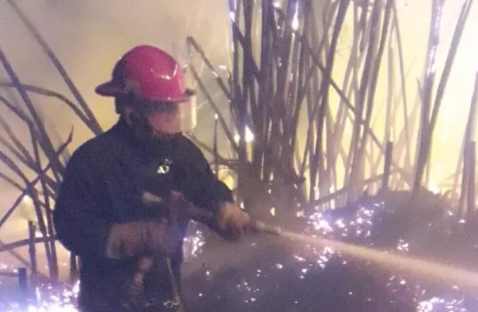 Hipólito Irigoyen: bomberos lograron sofocar un incendio comenzado en un aserradero