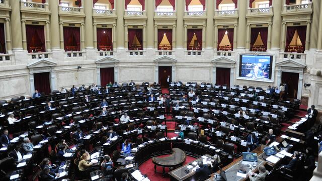 Diputados revisará gastos a pedido de Massa. Foto Federico Lopez Claro