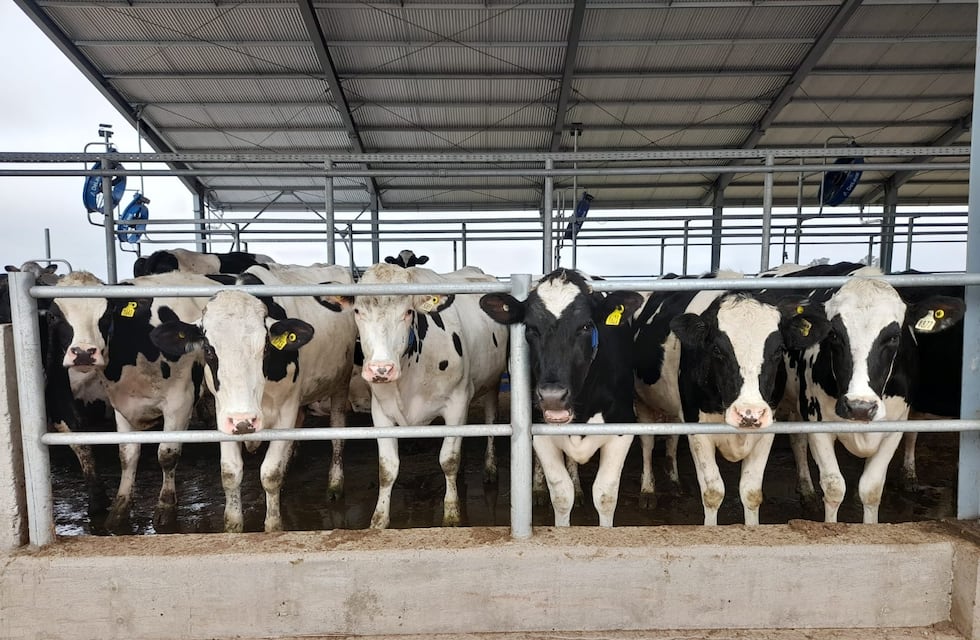 Desde la Sociedad Rural de Rafaela se esperan políticas de avance para la lechería santafesina