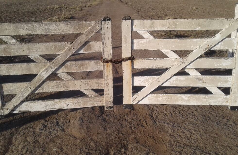 Descontrol en un campo en Colonia San Bartolomé