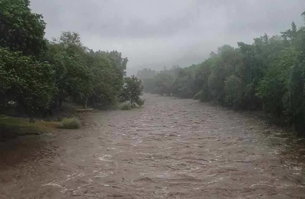 “Lo vi justo”: la desconcertante aparición de dos animales en Santa Rosa de Calamuchita