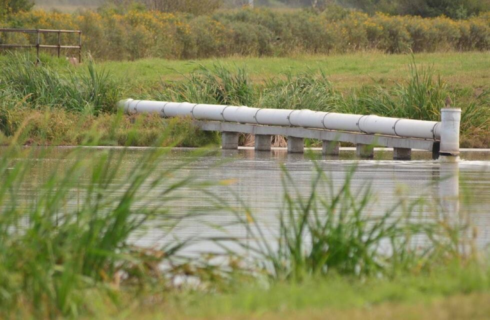 Conmoción en Jesús María: hallan un feto en la planta de cloacas