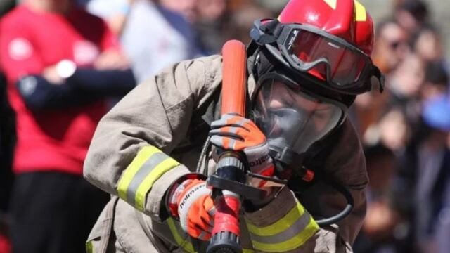 La bombera voluntaria hizo un proceso de enfriamiento total para apagar el fuego y salvar la vida del árbol.  (Imagen ilustrativa).