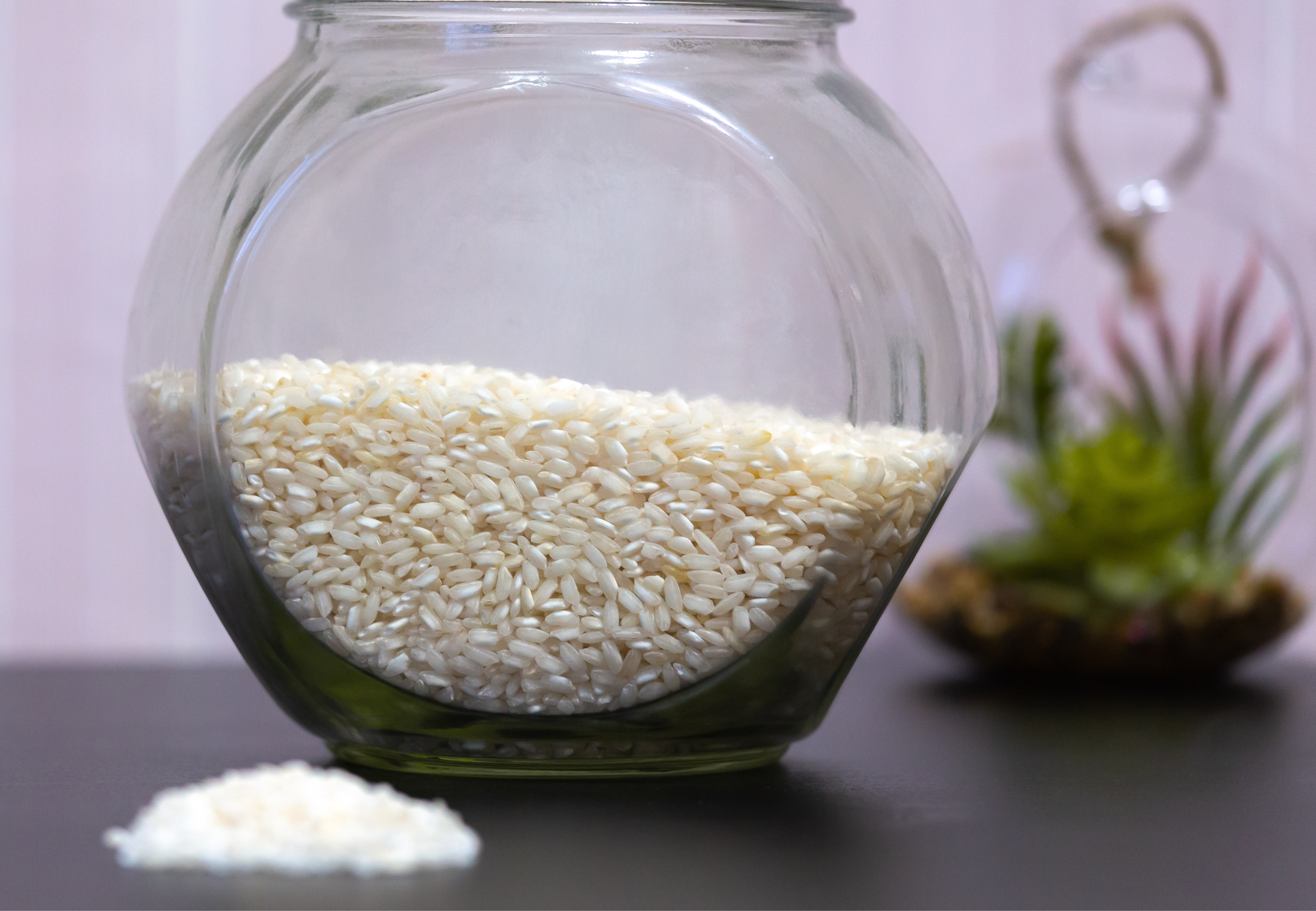 Según el Feng Shui, es bueno tener un frasco con arroz en tu casa.