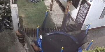 Los delincuentes quedaron grabados