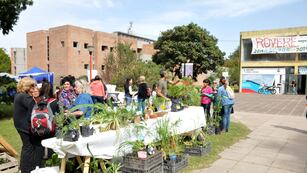 Una feria de Córdoba propone el trueque de alimentos.
