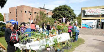 Una feria de Córdoba propone el trueque de alimentos.