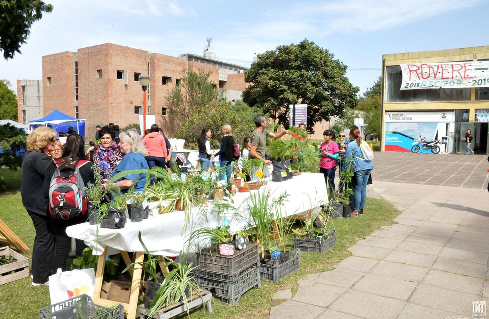Vuelve el trueque: una localidad de Córdoba prepara una feria de intercambio de alimentos