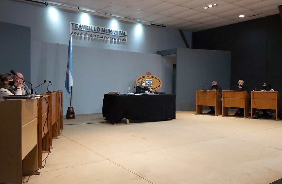 Castraciones en Arroyito: en el Concejo Deliberante pasó a comisión el primer proyecto y se aprobó el segundo