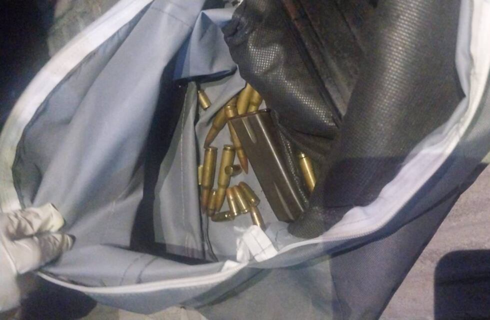 Amenazas a Javier Milei y Maximiliano Pullaro en Rosario: una mujer fue detenida