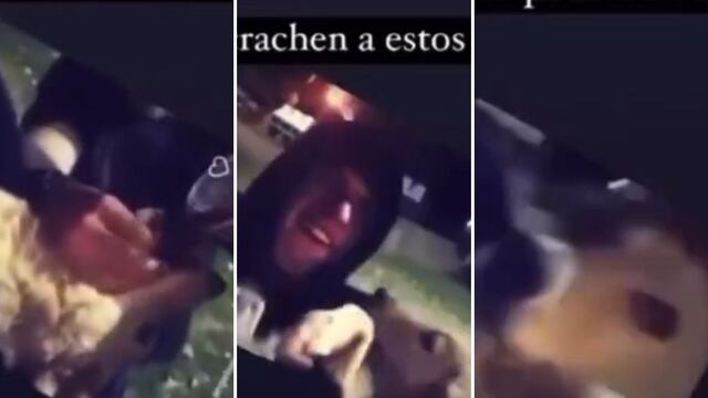El video de jóvenes dándole alcohol al pero generó indignación.