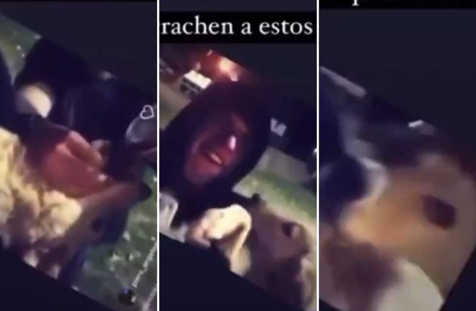 Indignación en redes por un video en el que jóvenes mendocinos le dieron fernet a un perro