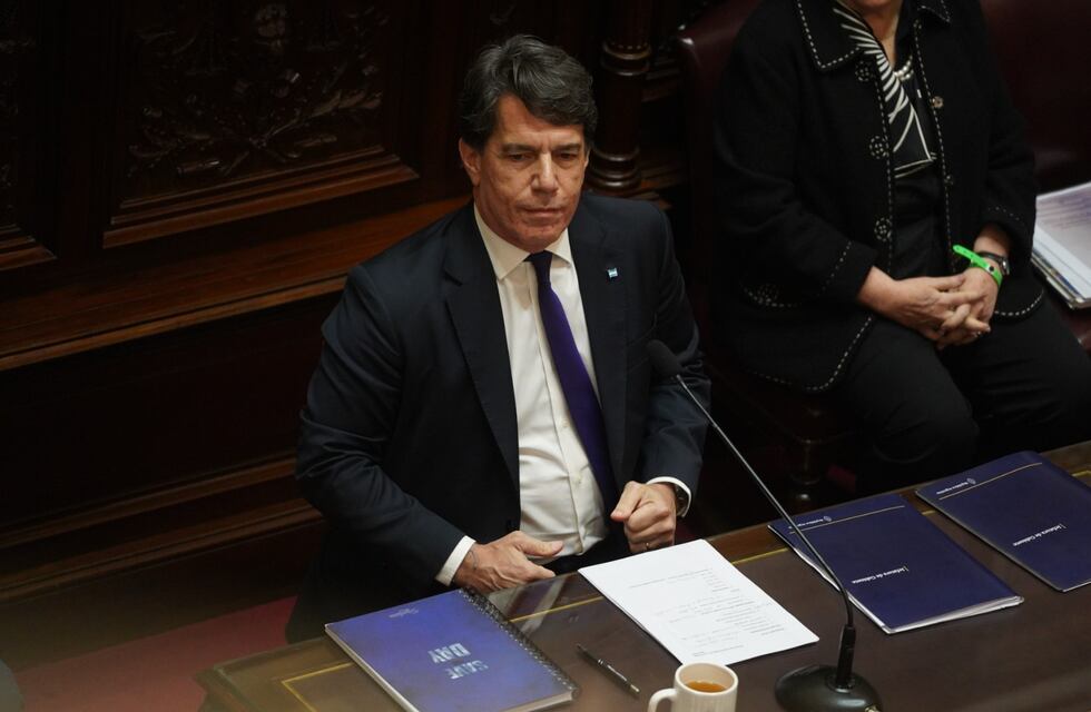 Nicolás Posse, en el Senado: “Evitamos una crisis que pudo ser la peor de la historia”