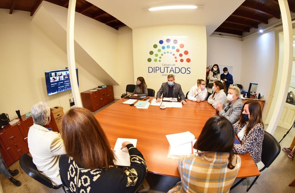 Actividades de la Cámara de Diputados del 25 al 29 de julio