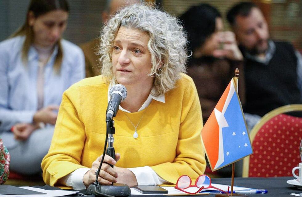 “El Consejo Federal de ambiente permite conocer realidades provinciales”