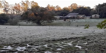 Misiones vivió la jornada más fría del año con mínimas bajo cero y heladas.