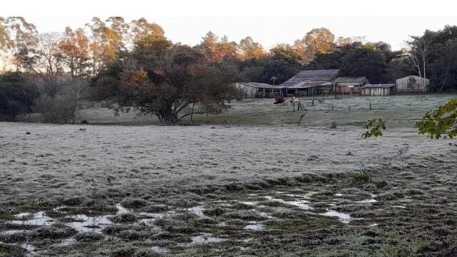 Misiones vivió la jornada más fría del año con mínimas bajo cero y heladas.