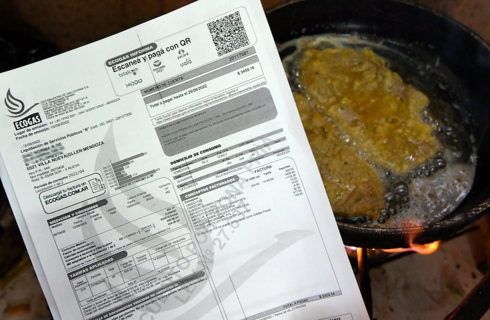 Segmentación de tarifas: desde cuándo rige y cómo se aplicará en Mendoza