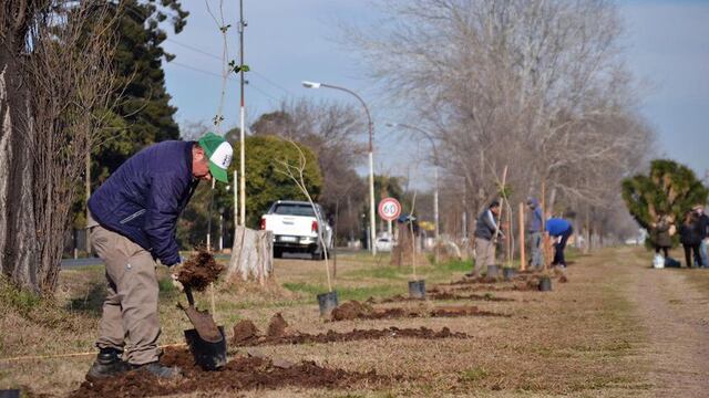 Pérez: se plantaron 70 árboles nativos en el Paseo del Caminante (Facebook Pérez Ciudad)