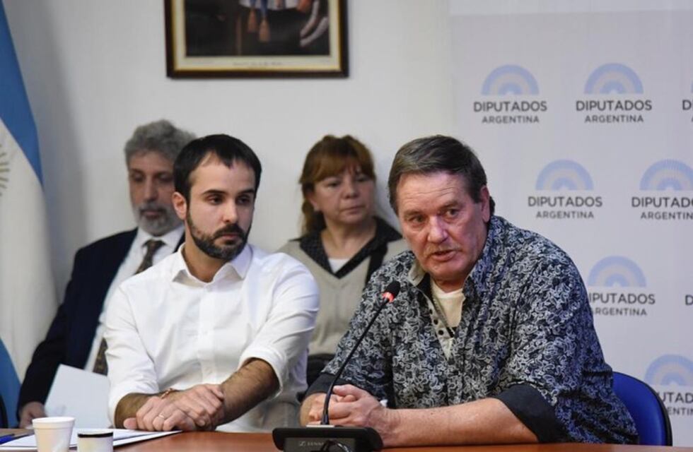 El Congreso comenzó a tratar la Ley Lucio: se debatió en la Comisión de Familia, Niñez y Juventudes